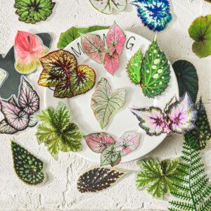 Realistic Botanical PET Stickers | Begonia and Caladium Leaves